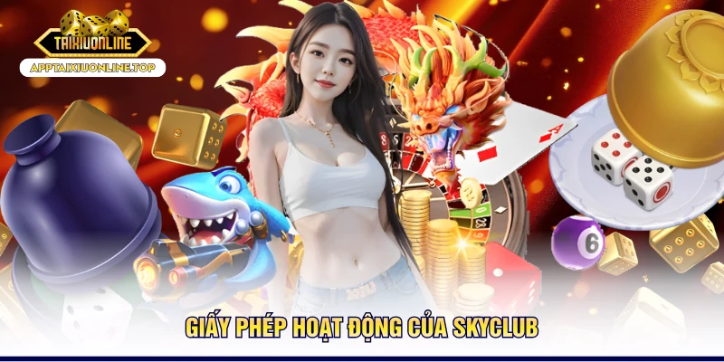 Giấy phép hoạt động của SKYCLUB